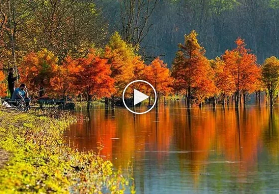 دریاچه الندان کجاست و چه جاذبه های گردشگری دارد؟